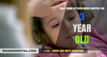 When to Hospitalize a 3-Year-Old with Fever: Urgent Guidelines