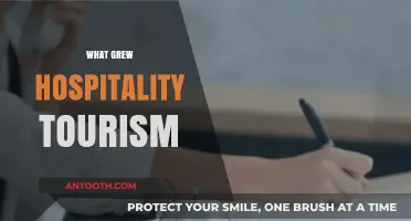 Exploring the Factors That Fueled the Growth of Hospitality Tourism