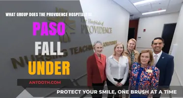 Providence Hospitals El Paso: Understanding Their Parent Organization and Group