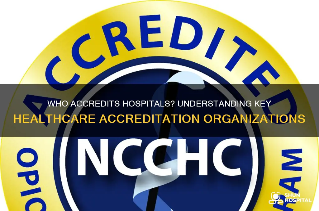 what groups accredit hospitals