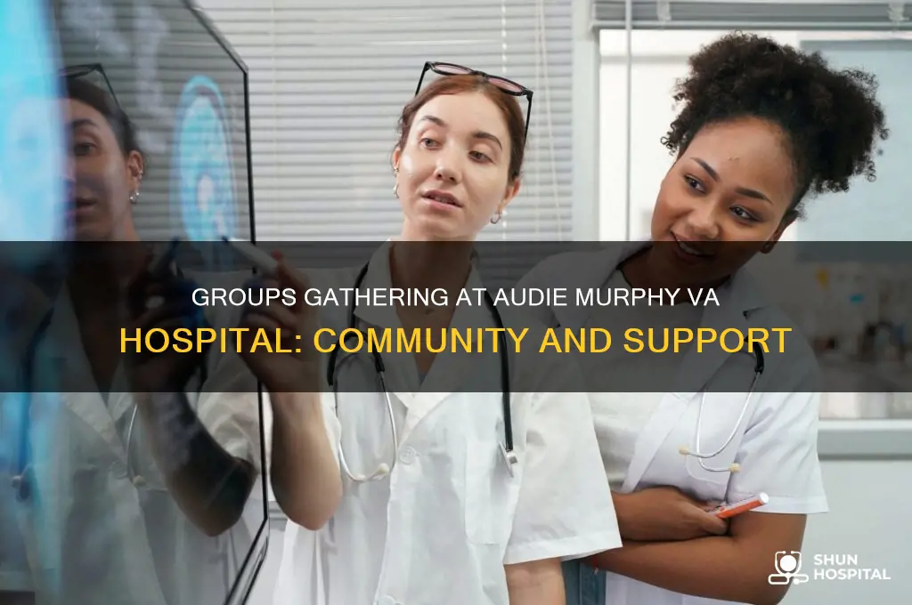 what groups meet at the audie murphy va hospital