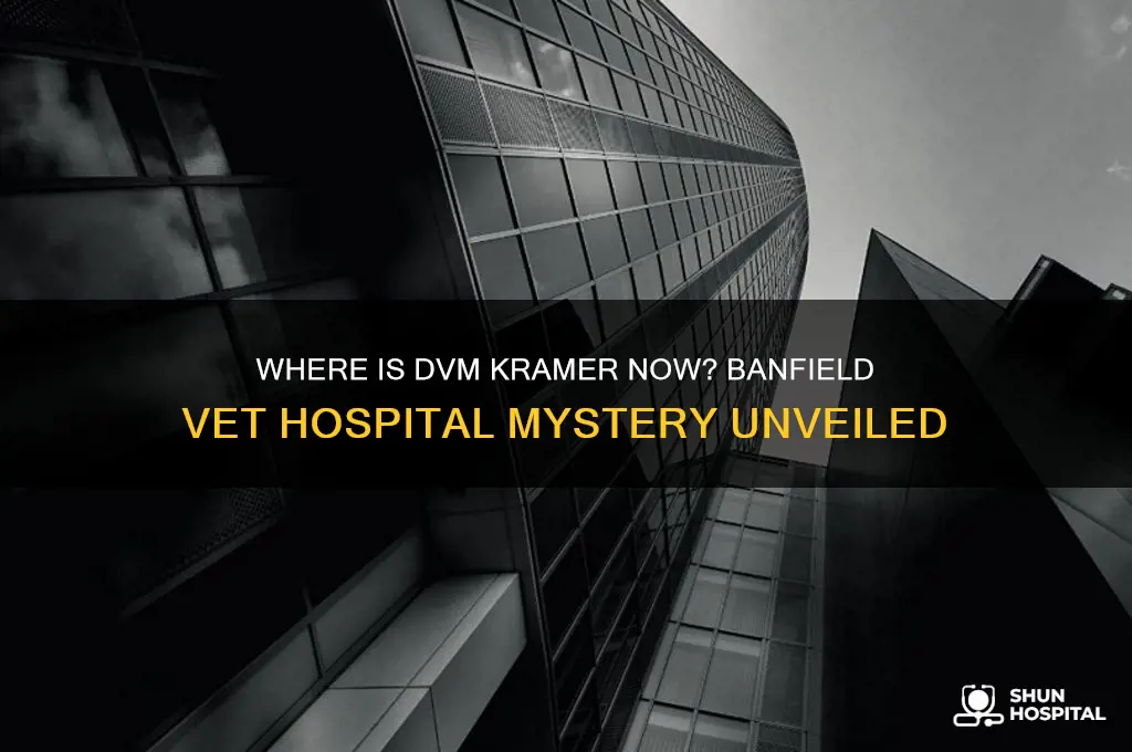 what happen to dvm kramer from banfield vet hospital