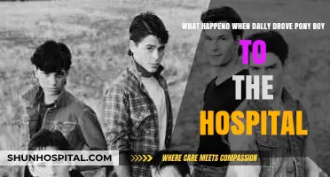 Dally's Desperate Drive: Pony Boy's Hospital Rush in The Outsiders