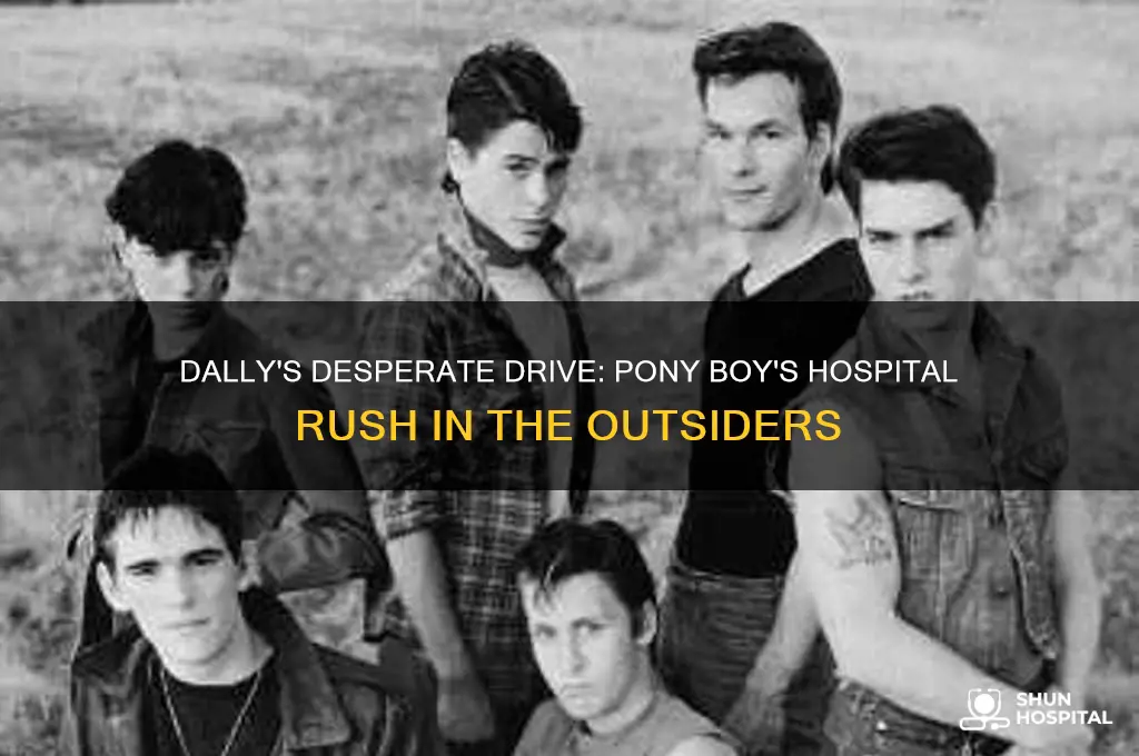 what happend when dally drove pony boy to the hospital