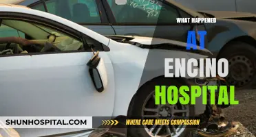 Unraveling the Shocking Events at Encino Hospital: A Detailed Account