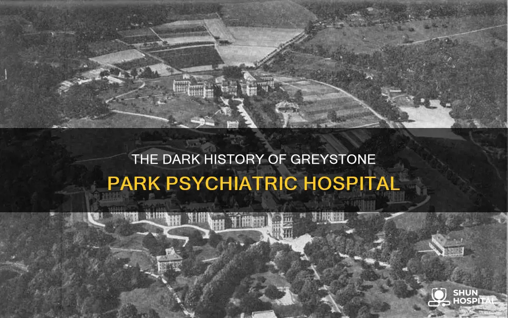 what happened at greystone park psychiatric hospital