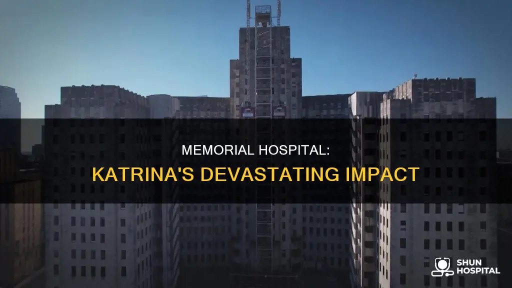 what happened at memorial hospital during katrina