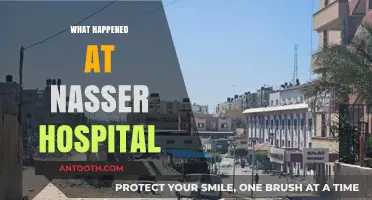 Nasser Hospital Crisis: Unraveling the Events and Aftermath in Gaza