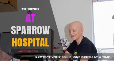 Unraveling the Sparrow Hospital Incident: What Really Happened?