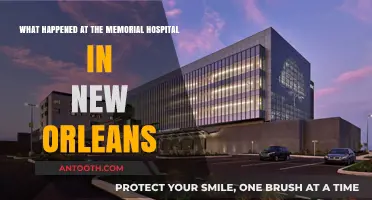 Unraveling the Tragedy: Memorial Hospital New Orleans' Darkest Hours