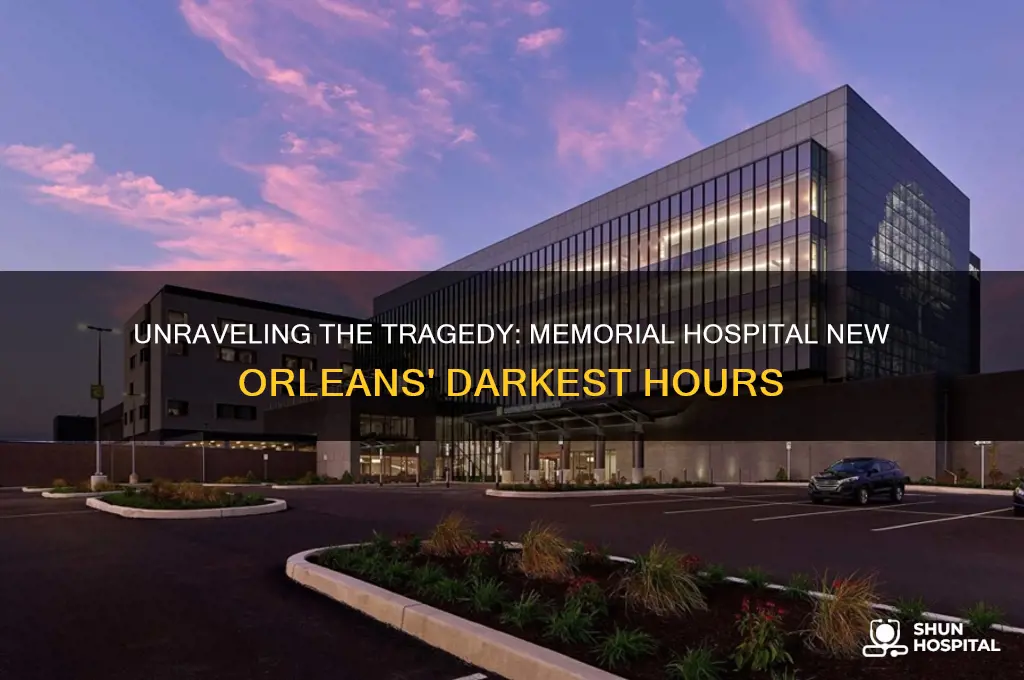 what happened at the memorial hospital in new orleans