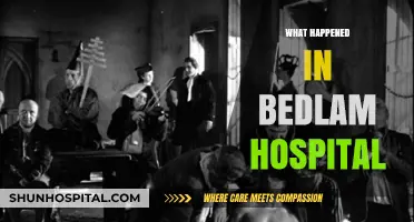Unveiling Bedlam's Dark History: Madness, Misery, and Medical Evolution