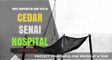 June 1972: Uncovering Cedar Sinai Hospital’s Historic Events