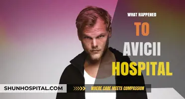 Avicii's Hospitalization: Unraveling the Events Behind the Tragedy