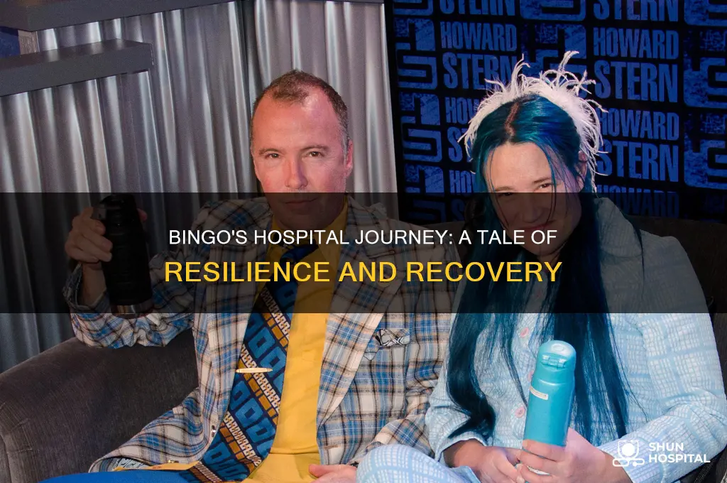 what happened to bingo when she was in the hospital