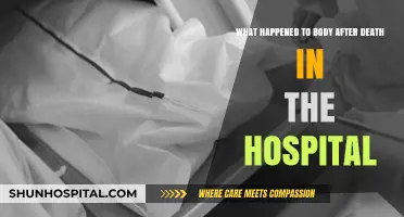 The Final Journey: What Happens to a Body After Hospital Death
