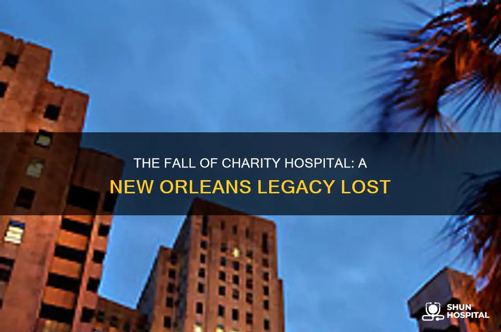 what happened to charity hospital