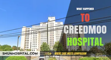 The Rise, Fall, and Legacy of Creedmoor Psychiatric Hospital