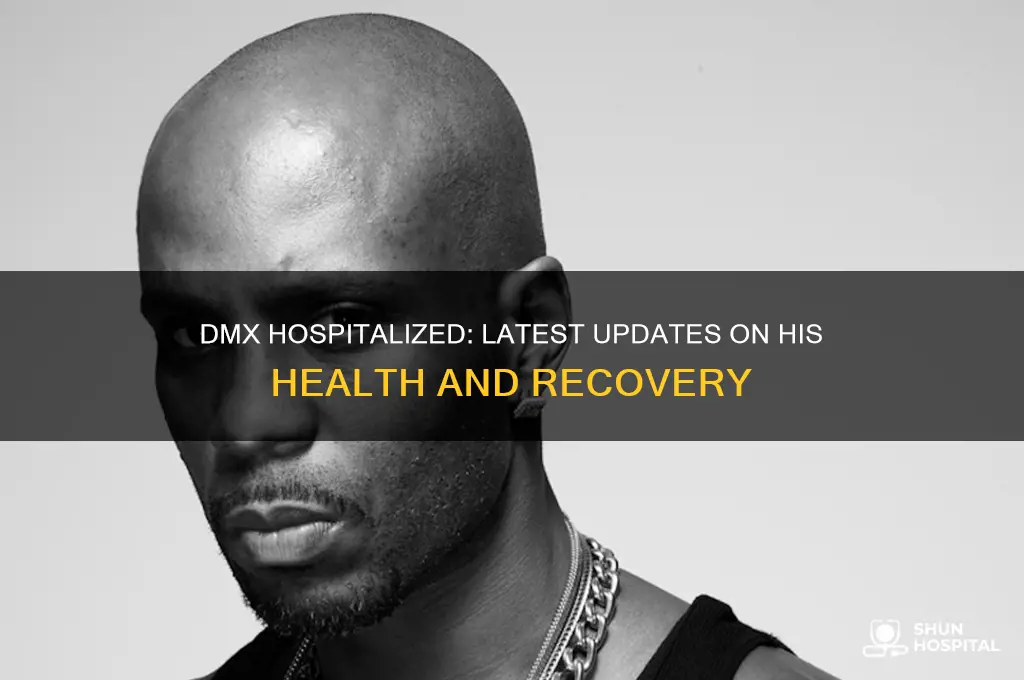 what happened to dmx is he in the hospital