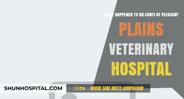 Dr. Conti's Disappearance: The Mystery of Pleasant Plains Vet