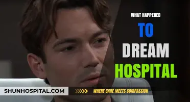 The Rise and Fall of Dream Hospital: Unraveling the Mystery