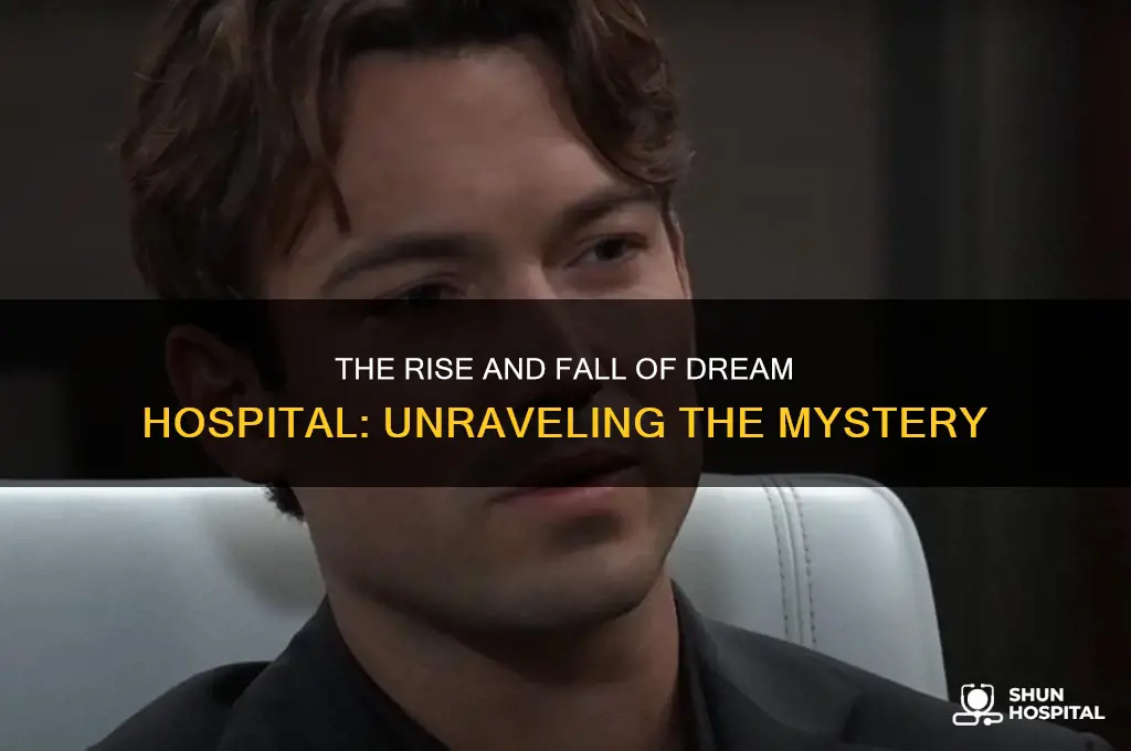 what happened to dream hospital