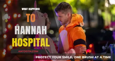 The Mysterious Fate of Hannah Hospital: Uncovering Its Untold Story