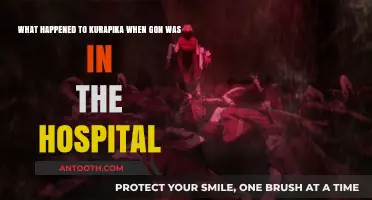 Kurapika's Vigil: Supporting Gon During His Hospital Recovery Journey