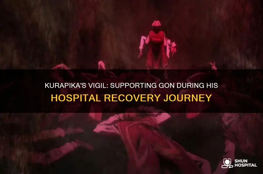 what happened to kurapika when gon was in the hospital