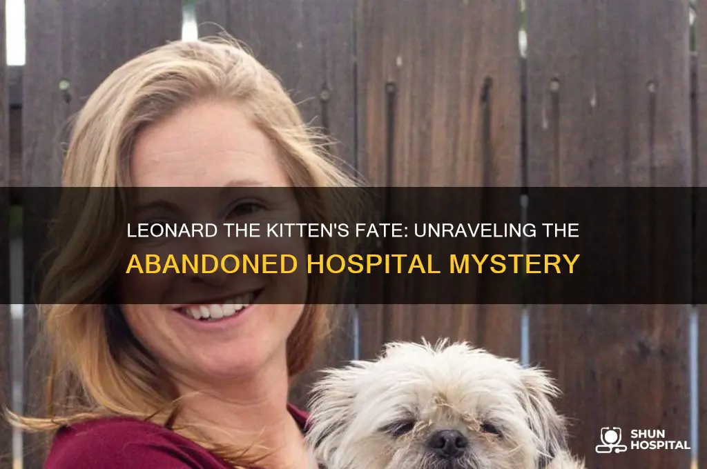 what happened to leonard the kitten from abandoned hospital