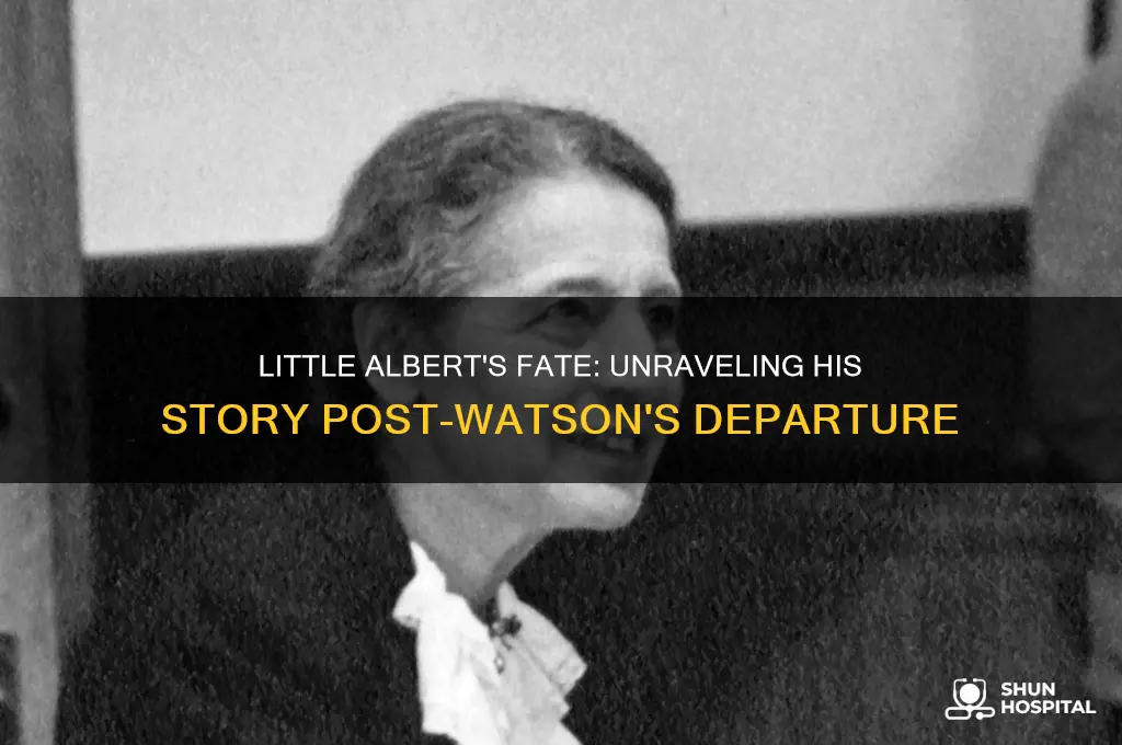 what happened to little albert after watson left the hospital