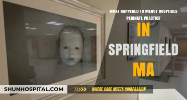 Mercy Hospital Springfield MA Perinatal Practice Closure: What Happened?