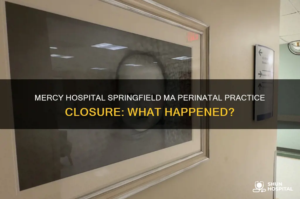 what happened to mercy hospitals perinatl practice in springfield ma