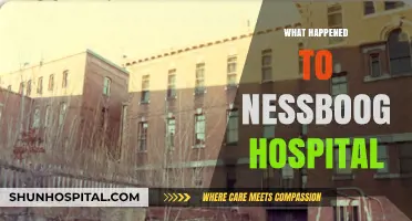 Unraveling the Mystery: What Happened to Nessboog Hospital?