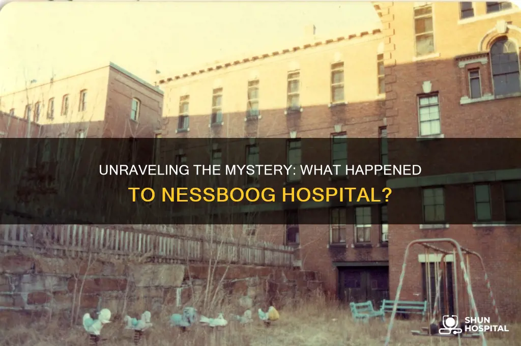 what happened to nessboog hospital