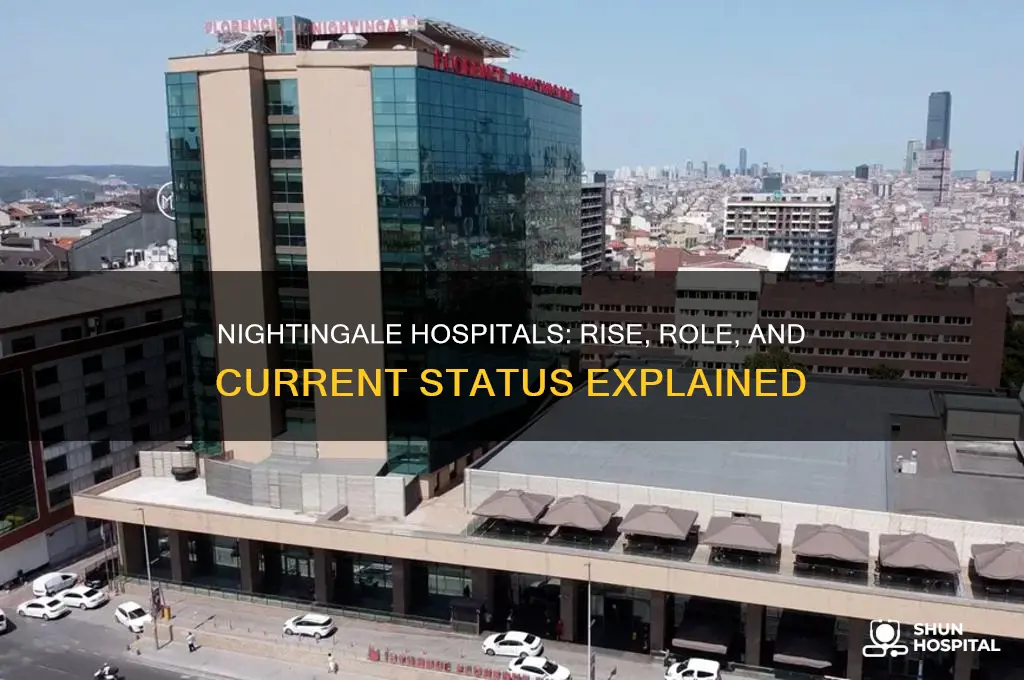 what happened to nightingale hospitals
