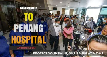 Penang Hospital's Decline: Unraveling the Crisis and Its Aftermath