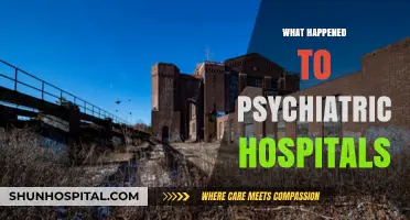 The Decline of Psychiatric Hospitals: Causes, Consequences, and Modern Alternatives