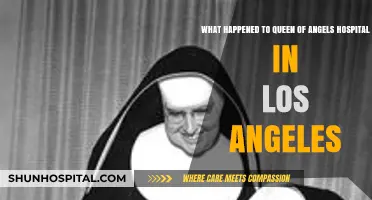 Queen of Angels Hospital: The Rise, Fall, and Legacy in LA
