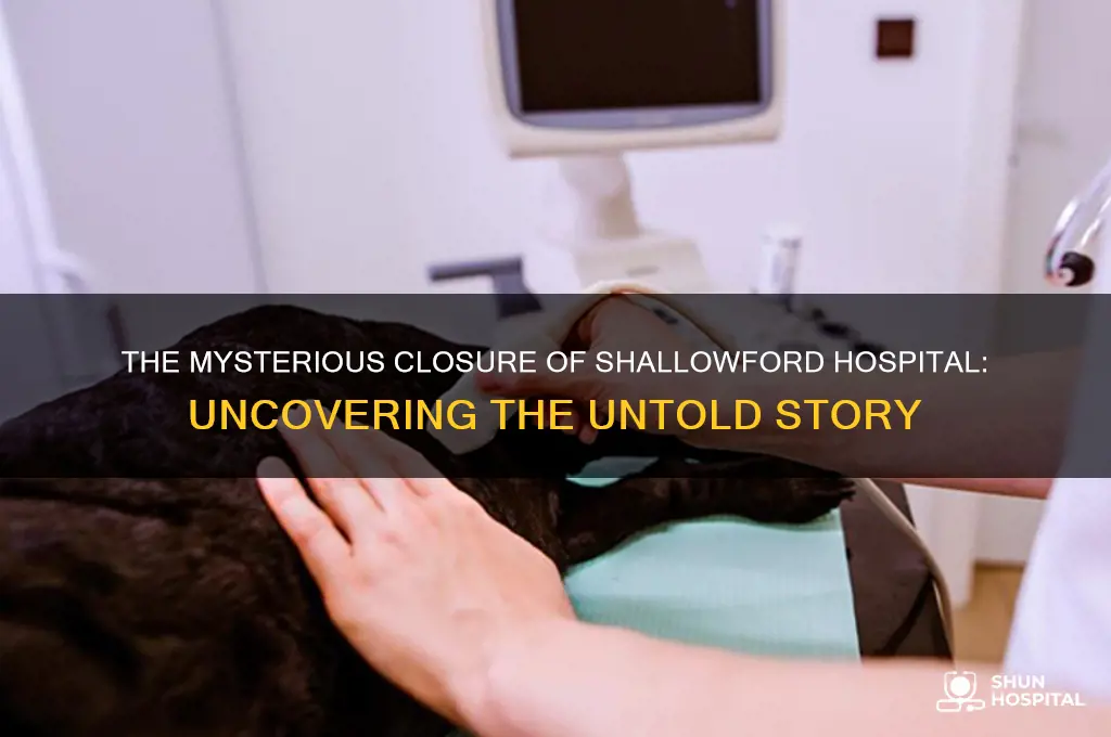 what happened to shallowford hospital