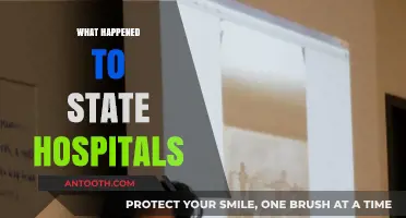 The Decline of State Hospitals: Causes, Consequences, and Future Outlook