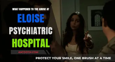 Unveiling the Dark Past: Abuse at Eloise Psychiatric Hospital Exposed