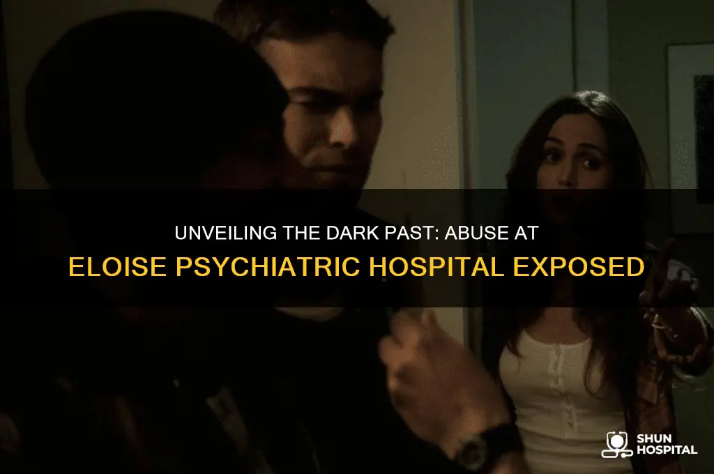 what happened to the abuse at eloise psychiatric hospital