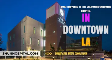The Fate of California Children's Hospital: Downtown LA's Lost Legacy