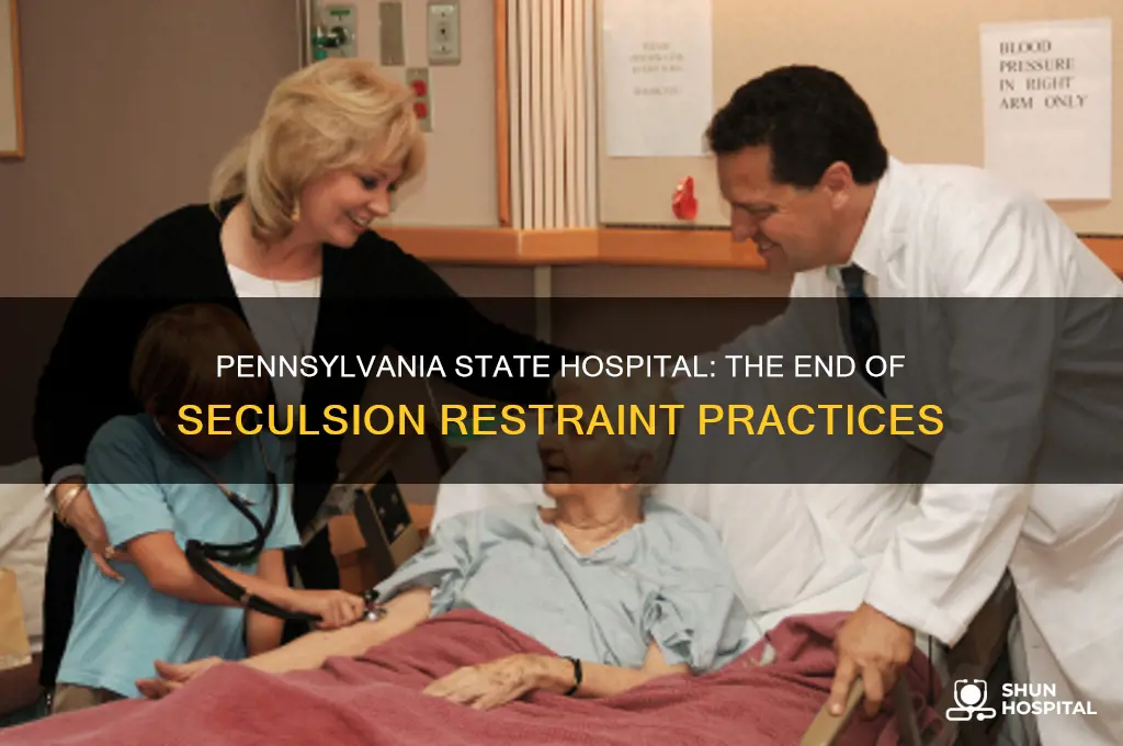 what happened to the pennsylvania state hospital seculsion restraint