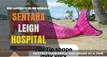 The Pink Mermaid's Disappearance: Sentara Leigh Hospital's Mystery Unveiled