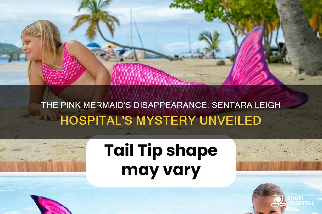 what happened to the pink mermaid by sentara leigh hospital