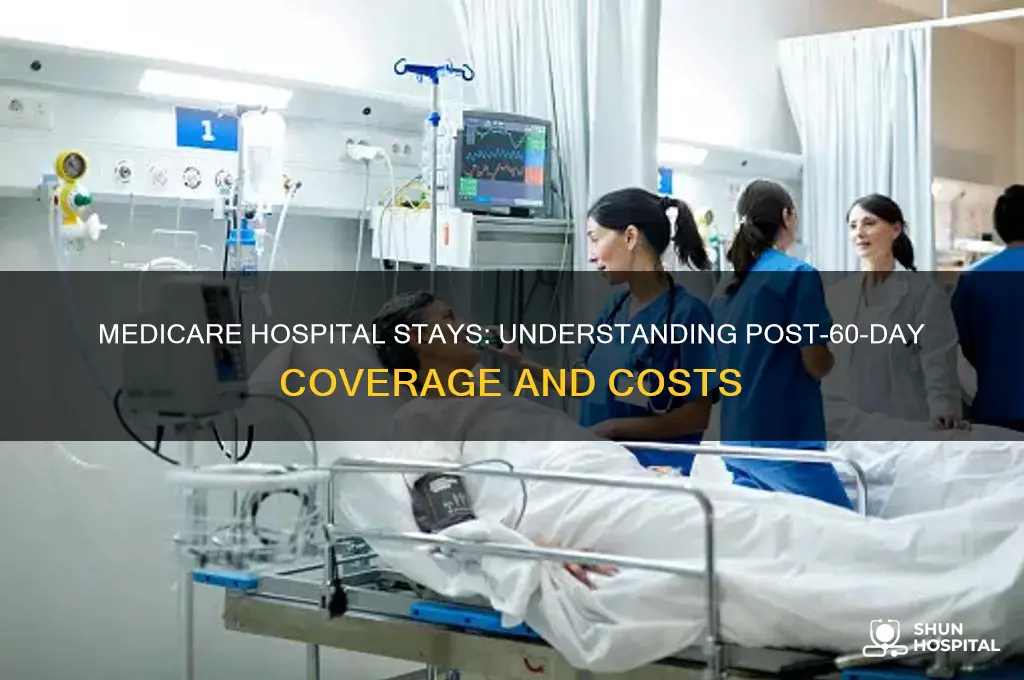what happens after 60 days in hospital with medicare