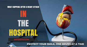 Post-Heart Attack Hospital Care: Recovery, Treatment, and Next Steps Explained