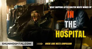 Walter White's Awakening: Unraveling the Aftermath of His Hospital Revival